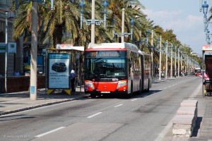 Barcelona Bus